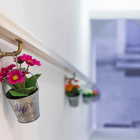 Kokona בית הארחה סימי